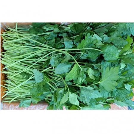 참나물(국내산) 4kg/BOX
