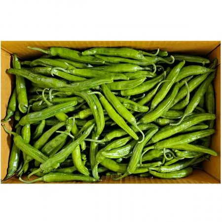 꽈리고추(국내산)특품 4kg/BOX