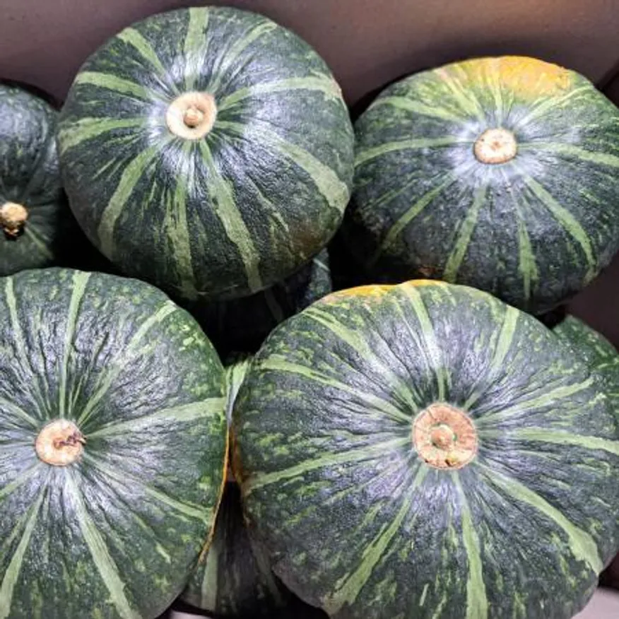 단호박(8수)10kg/ BOX 국내산 이미지