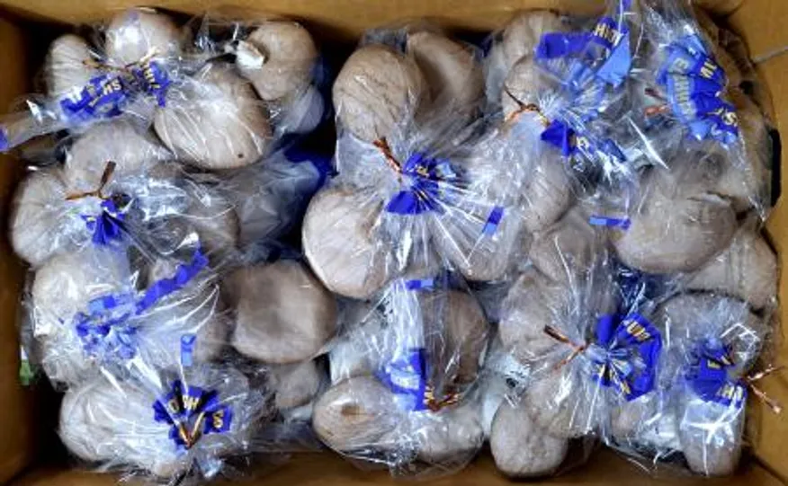 새송이버섯(봉지새송이) 4kg(400g*10)/BOX 이미지