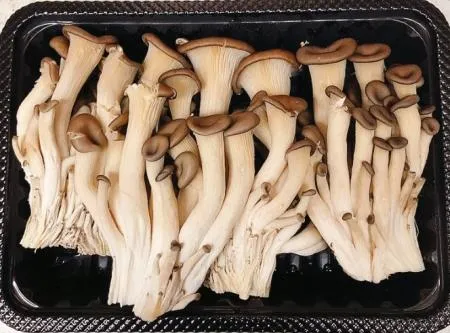 애느타리 버섯 맛타리 버섯 200g*10ea/박스
