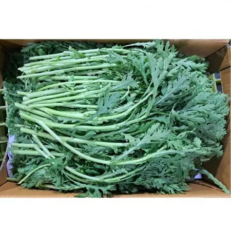 쑥갓(국내산)4kg/BOX