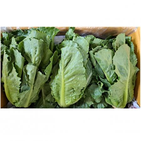 통로메인(국내산)2kg/BOX