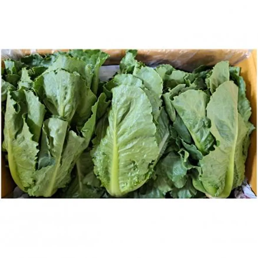 통로메인(국내산)2kg/BOX 이미지