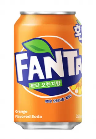 환타 오렌지 355ml * 24캔
