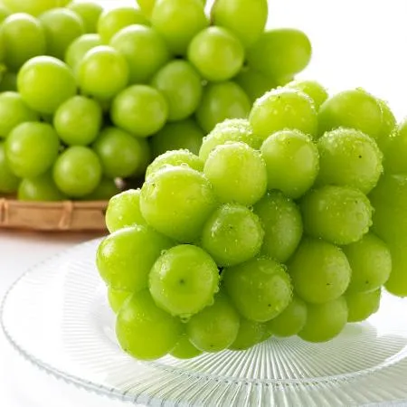 첫 수확! 달콤하고 맛있는 샤인머스켓 1kg 2-3수