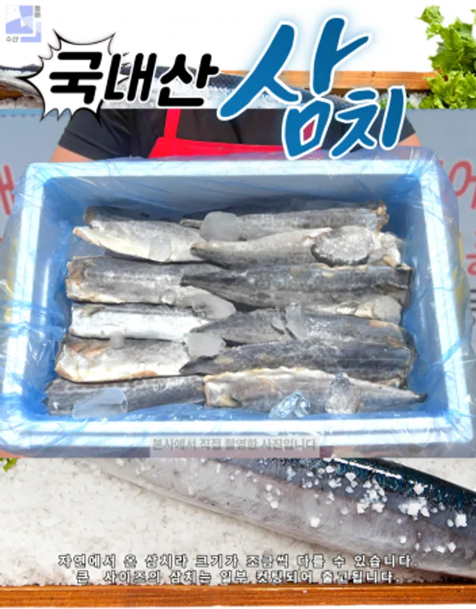 국내산 삼치 5kg 냉동 손질 필렛 업소용 구이 생선 이미지