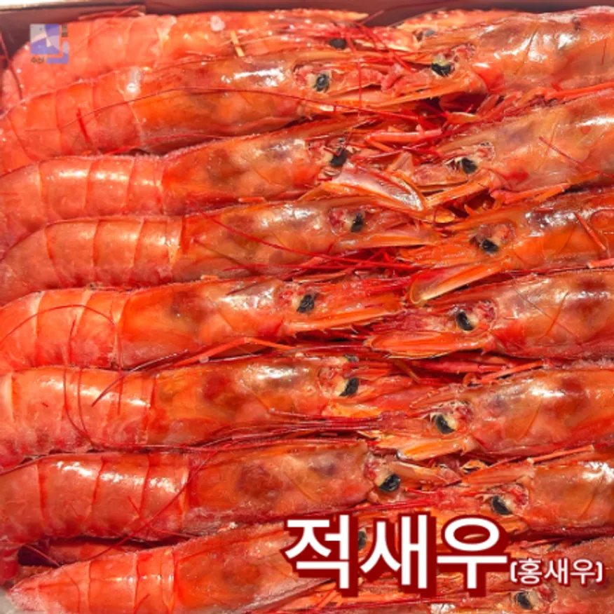 적새우 L1 아르헨티나 홍새우 1박스(2KG x 6팩) 업소용 대용량 새우구이 이미지