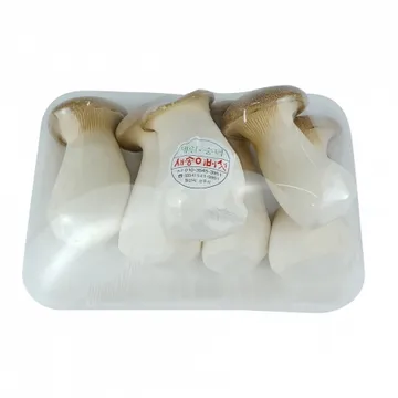 그린팜 생 새송이 500g 1팩