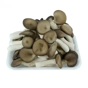 그린팜 생 느타리버섯 500g