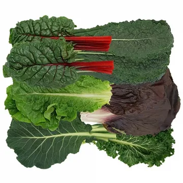 그린팜 3가지 생 야채모듬쌈 300g