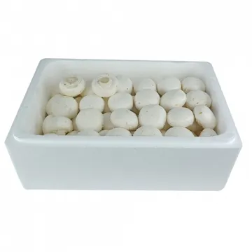 그린팜 생 양송이 2kg 1박스