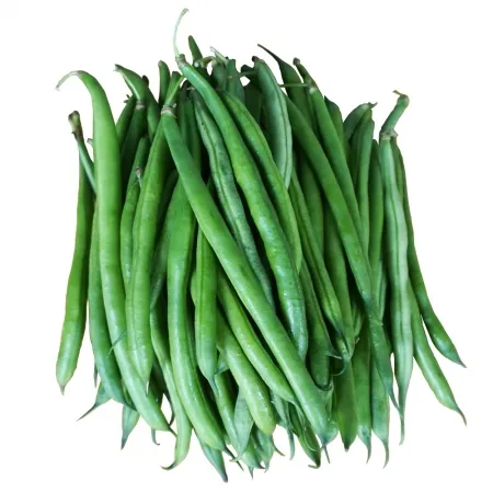 그린팜 생 그린빈스 500g