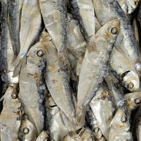 육수용디포리,밴댕이(대)[식자재]1.5kg/베트남산