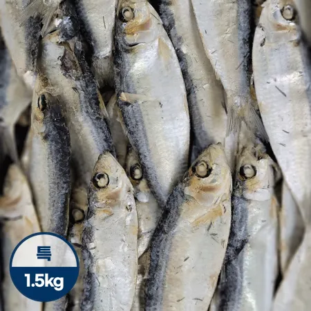 육수용디포리(대)[특]1.5kg/베트남산