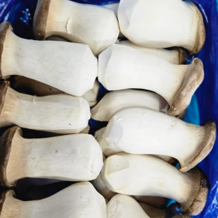 야채왕 새송이 버섯 2kg 박스 이미지