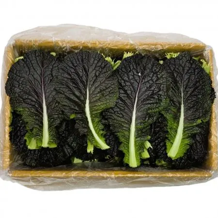 야채왕 적겨자 2kg (1.8kg~2kg)박스 이미지