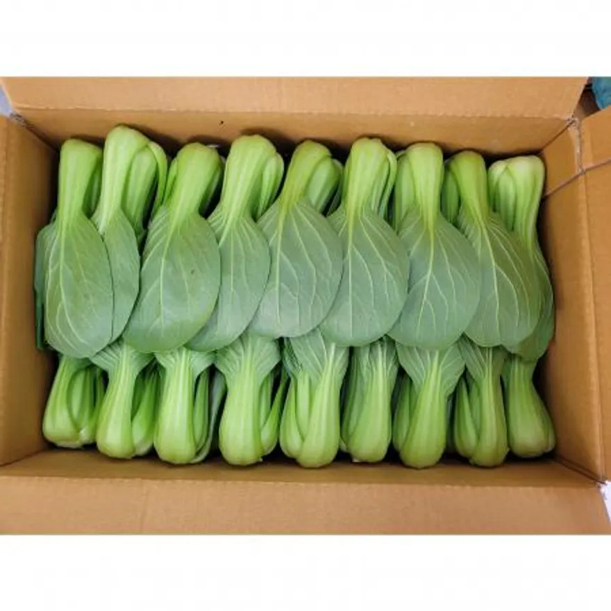 야채왕 청경채4kg (3.8kg~4kg) 박스 이미지