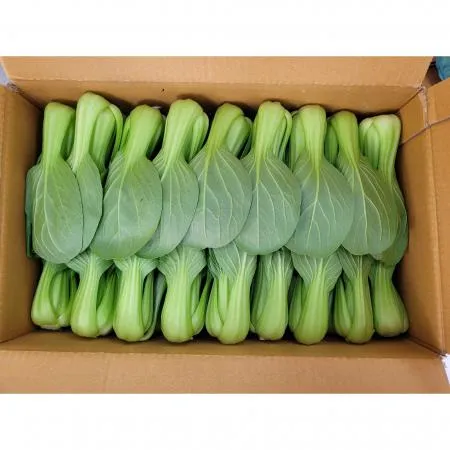 야채왕 청경채4kg (3.8kg~4kg) 박스 이미지