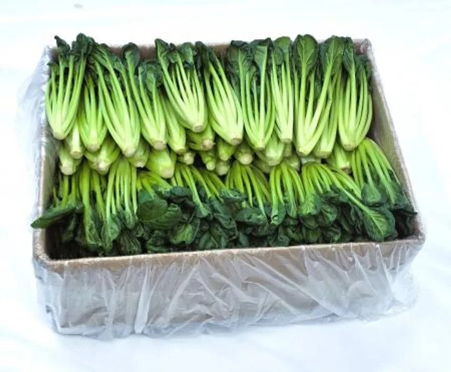 야채왕 비타민 채소 다채 2kg (1.8kg~2kg)박스 이미지