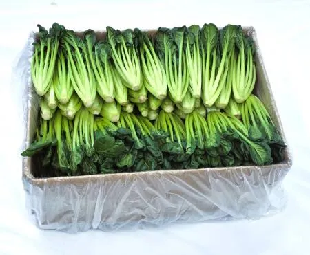 야채왕 비타민 채소 다채 2kg (1.8kg~2kg)박스 이미지