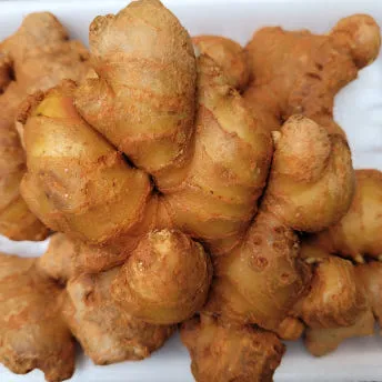 야채왕 생강 1kg (흙생강)