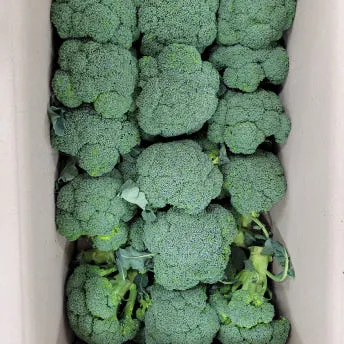 야채왕 브로콜리 4kg