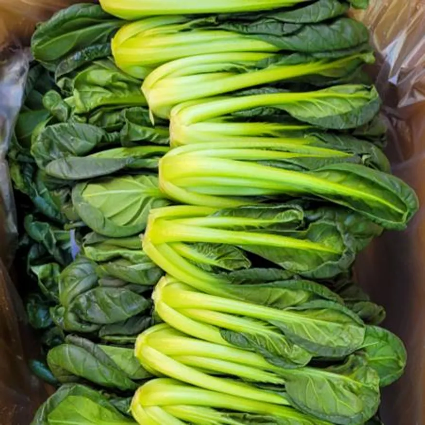 야채왕 비타민 채소 다채 2kg (1.8kg~2kg)박스 이미지