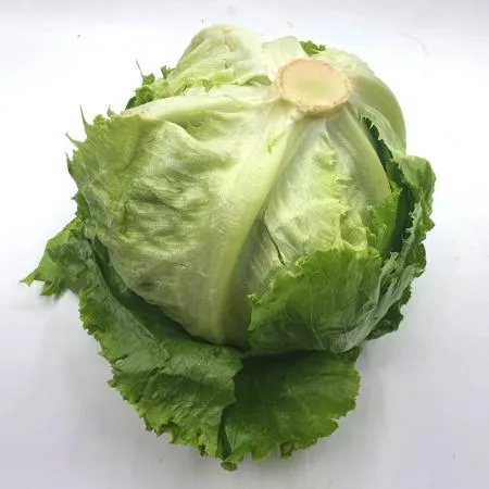 야채왕 양상추 12통 (1박스) 이미지