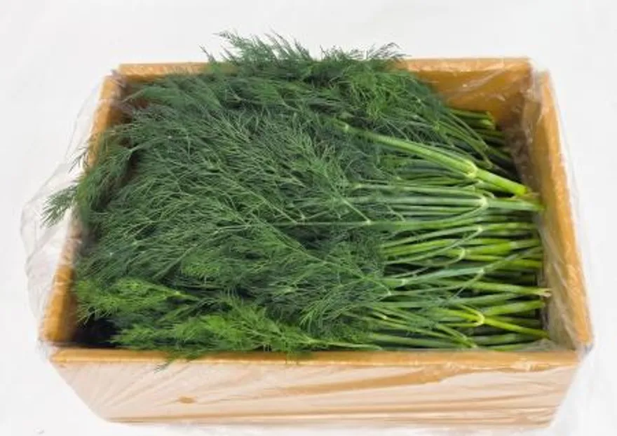 야채왕 허브딜 500g 이미지