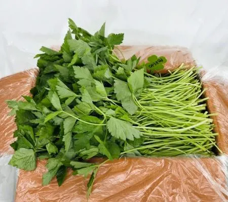 야채왕 참나물 4kg (3.8kg~4kg) 박스