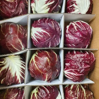 야채왕 라디치오 12통(약3kg 내외) 이미지