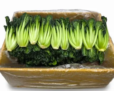 야채왕 비타민 채소 다채 2kg (1.8kg~2kg)박스