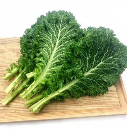 야채왕 청겨자잎 2kg (1.8kg~2kg) 이미지