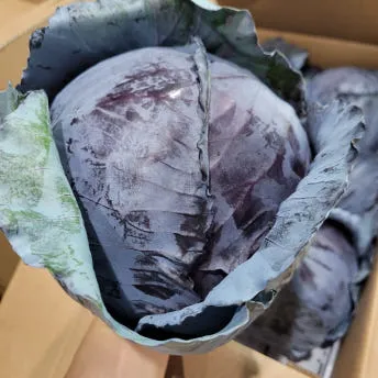 야채왕 적채 1통 이미지
