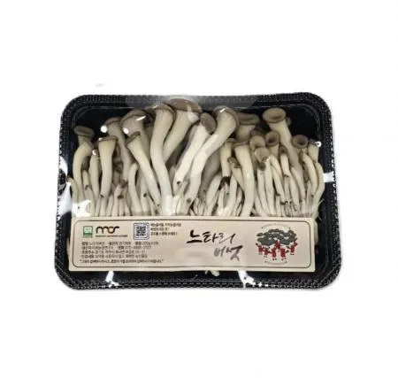 느타리 버섯 10팩 박스(개당 약200g) 이미지