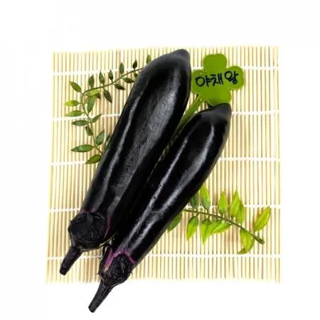 야채왕 가지 2개