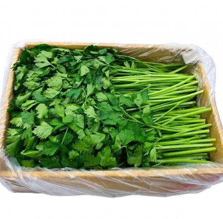 야채왕 이태리파슬리(파세리) 향나물 2kg(1.8kg~2kg)