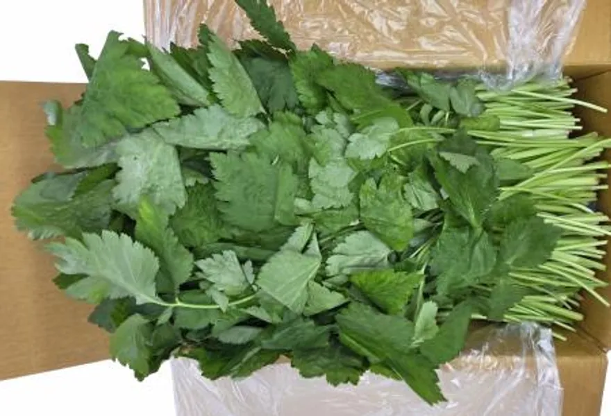 야채왕 참나물 4kg (3.8kg~4kg) 박스 이미지