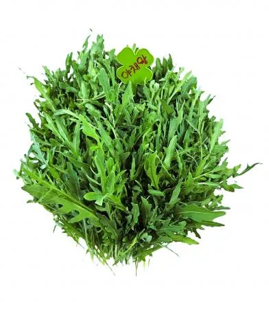 야채왕 와일드루꼴라 베이비루꼴라 1kg (0.9kg~1kg) 박스 이미지