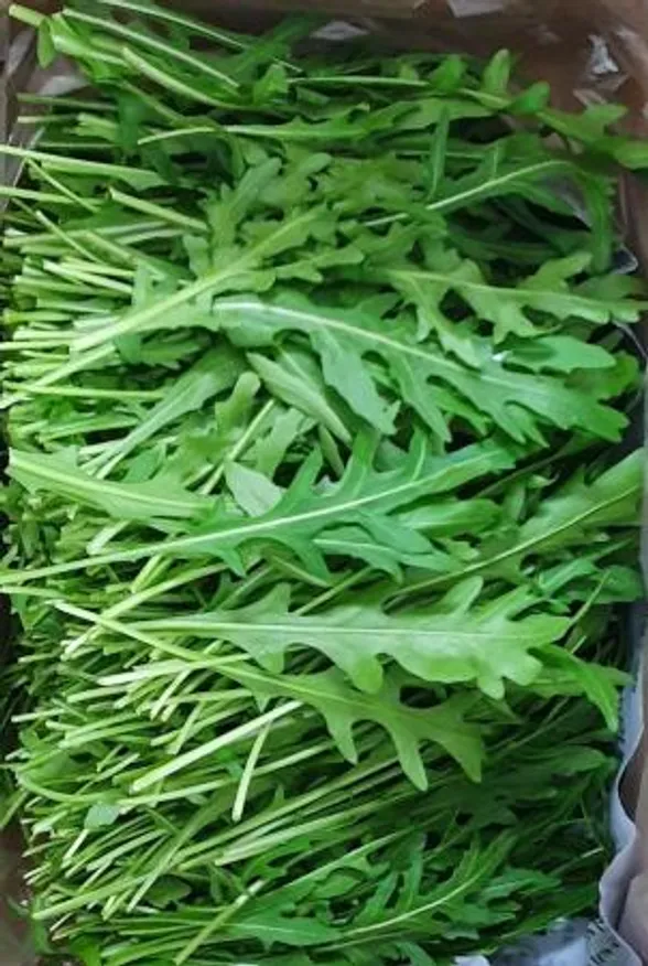 야채왕 와일드루꼴라 베이비루꼴라 1kg (0.9kg~1kg) 박스 이미지