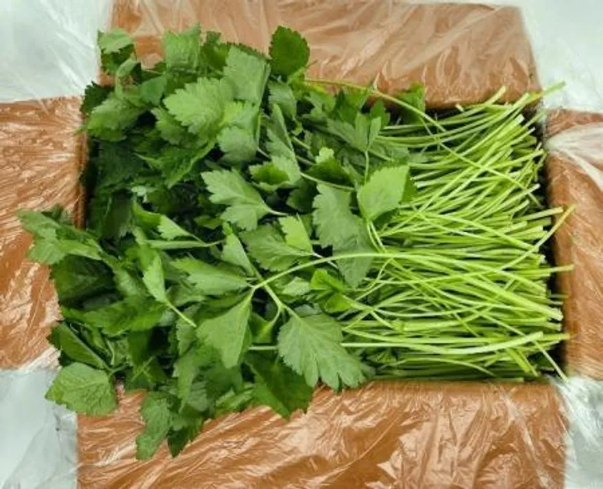 야채왕 참나물 4kg (3.8kg~4kg) 박스 이미지