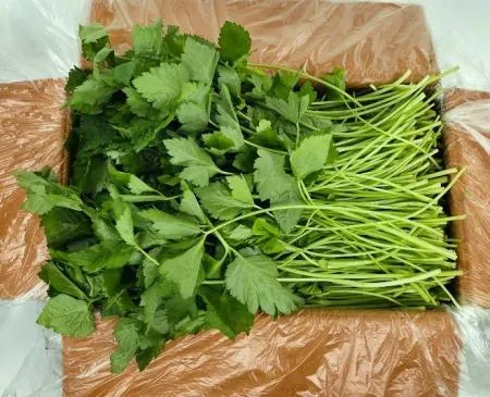 야채왕 참나물 4kg (3.8kg~4kg) 박스 이미지