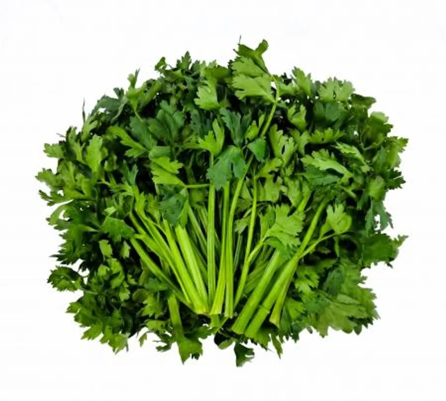 야채왕 쌈샐러리 2kg 박스(1.8kg~2kg) 이미지