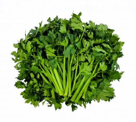 야채왕 쌈샐러리 2kg 박스(1.8kg~2kg) 이미지