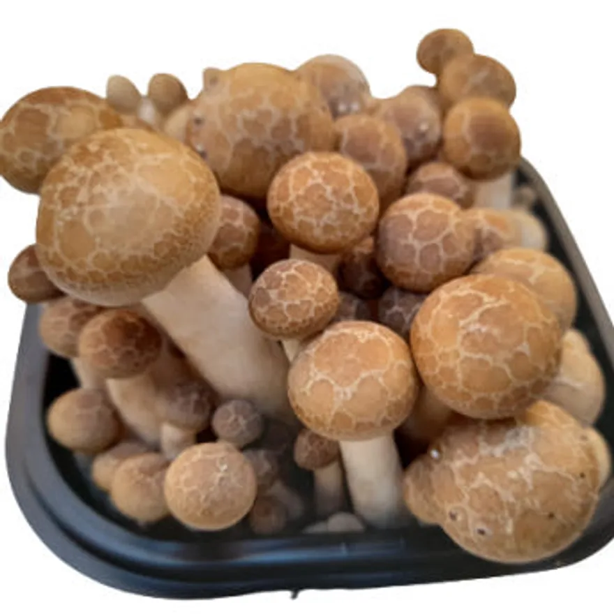 야채왕 만가닥 버섯 1팩(약150g) 이미지