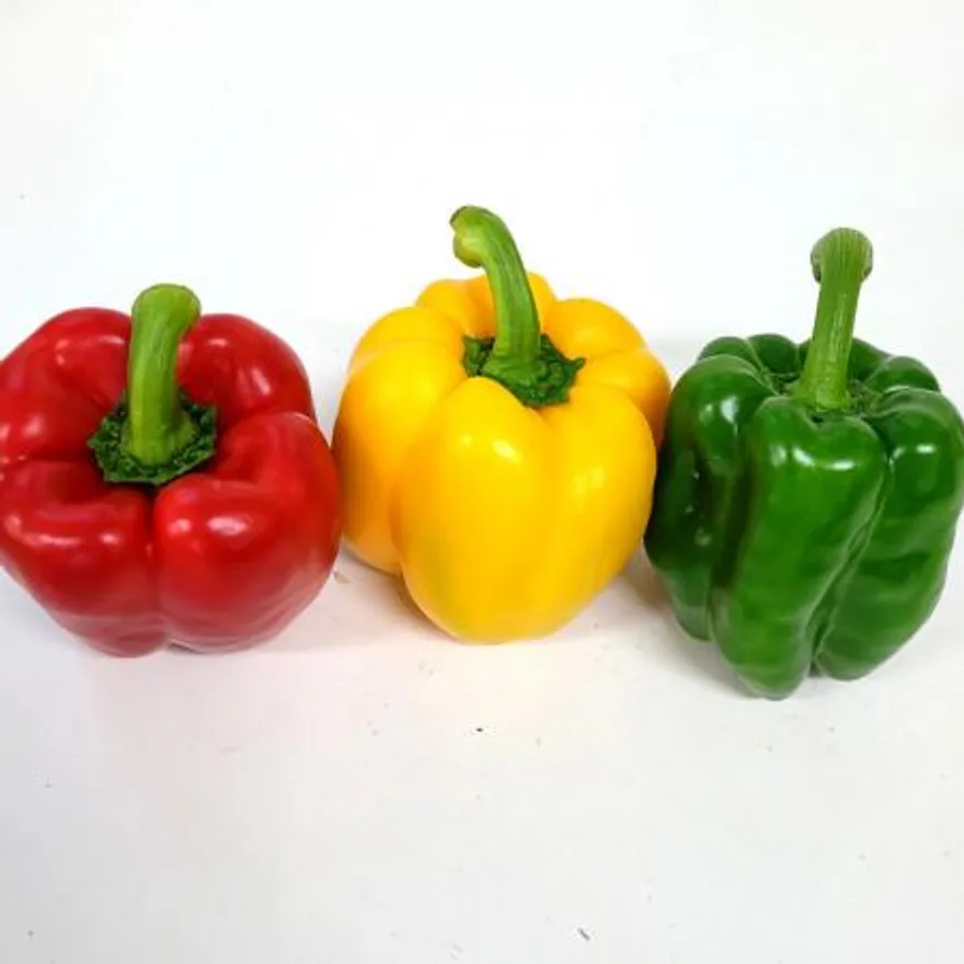 야채왕 예쁜이 파프리카 혼합 1kg 빨강 노랑(4~7개) 이미지