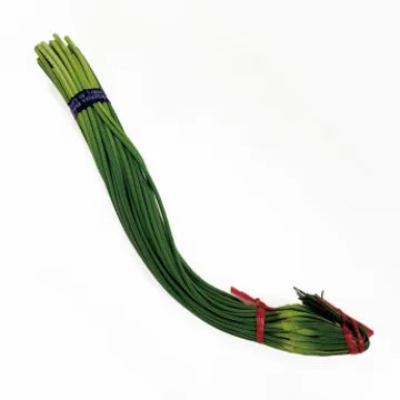 야채왕 마늘쫑 1단