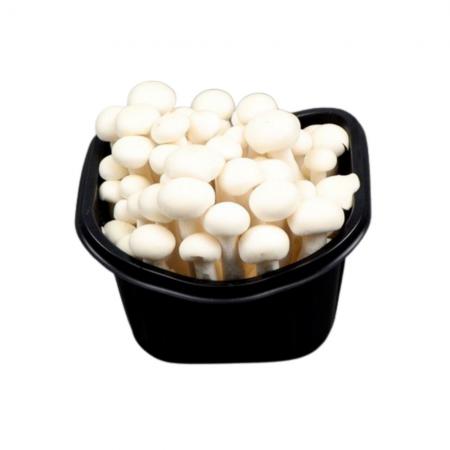 야채왕 백만송이버섯 10팩 박스(개당 약150g)