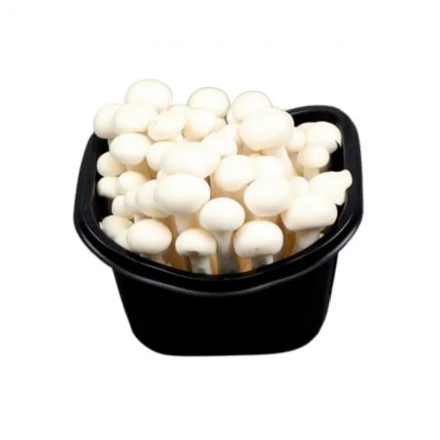 야채왕 백만송이버섯 10팩 박스(개당 약150g) 이미지